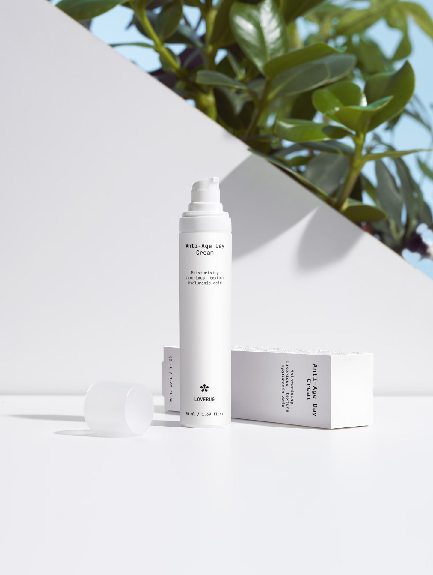 Anti-Aging Collection Box